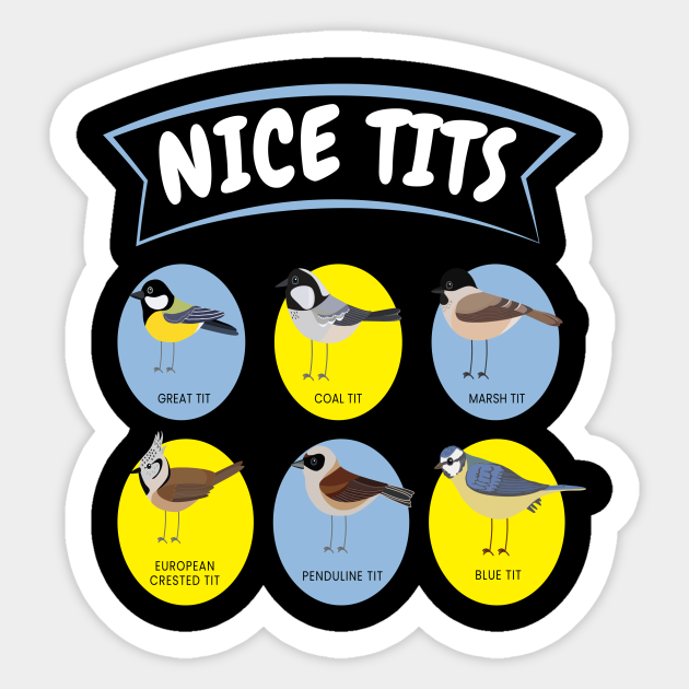 tits bird shirt